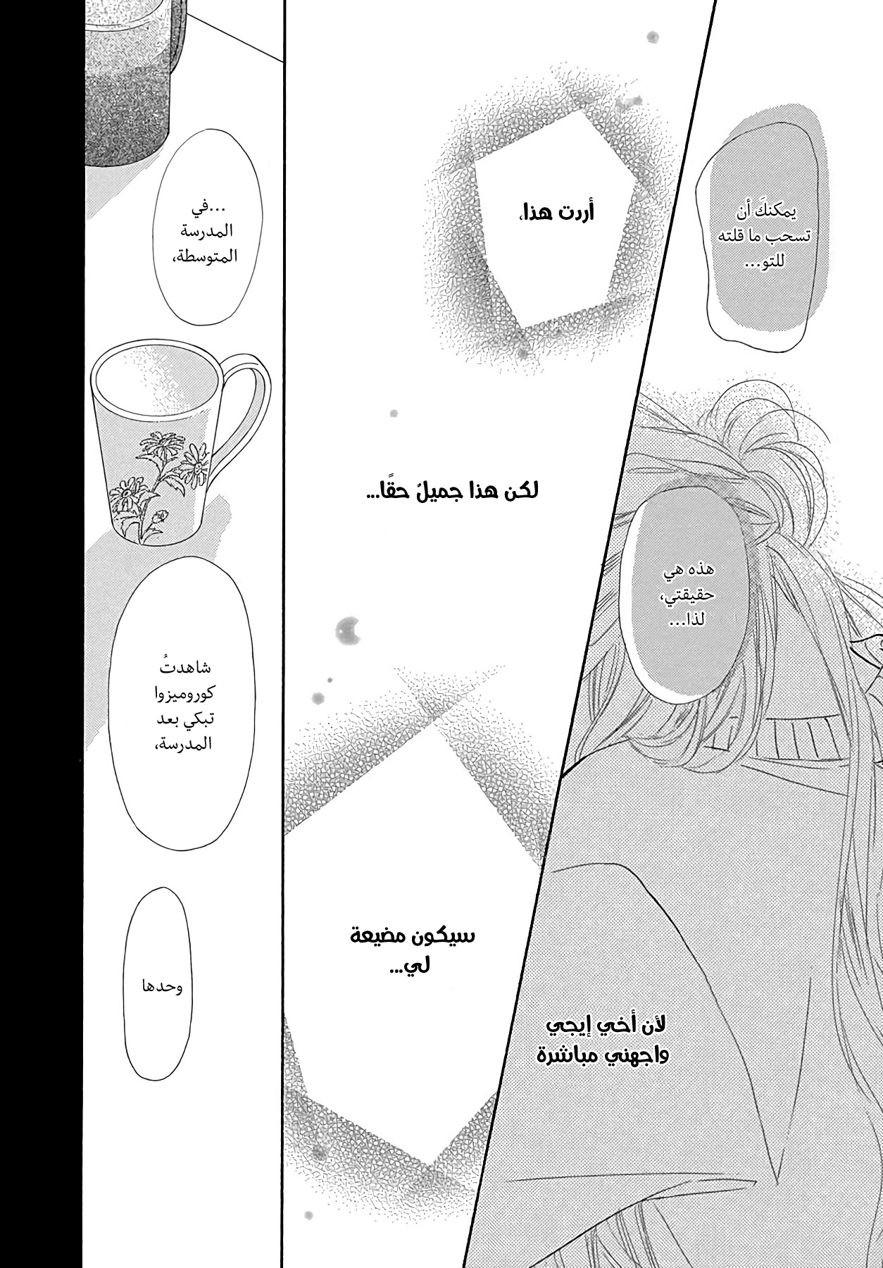Kimi ni Todoke Special ～Soulmate～ Vol. 2 Ch. 5 第47页