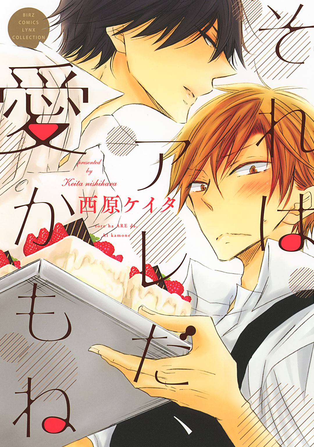 Sore wa Are da, Ai Kamo ne 第1页