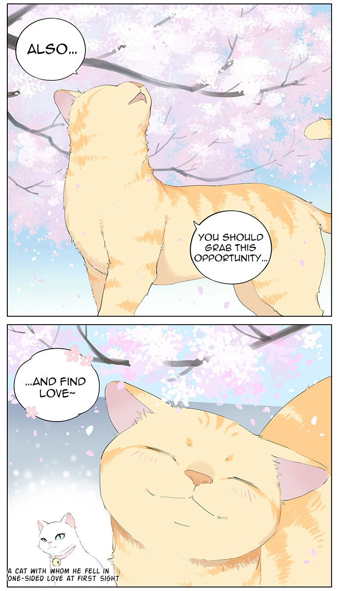 Aman's Animal Tales The Disappointing House Cat (2) 第3页