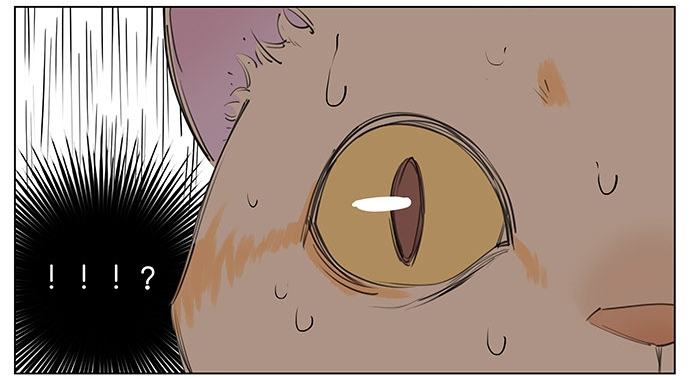 Aman's Animal Tales The Disappointing House Cat (2) 第5页