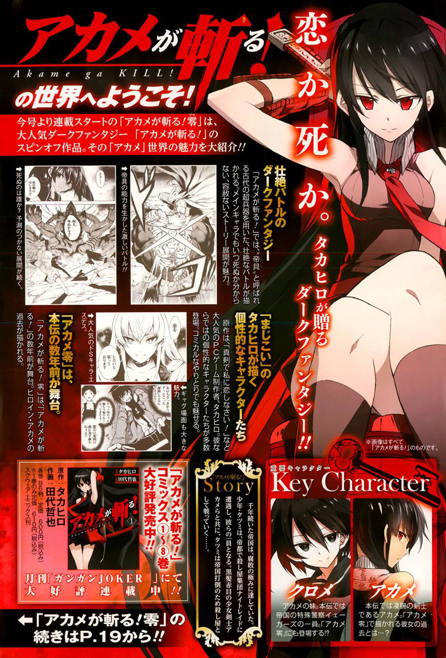 Akame ga KILL! Zero Duas Garotas 第6页