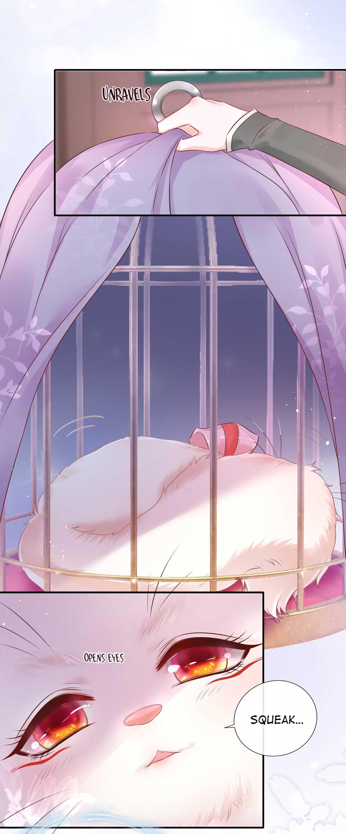 Raise A Mink As My Wife A Tooth for a Tooth 第16页
