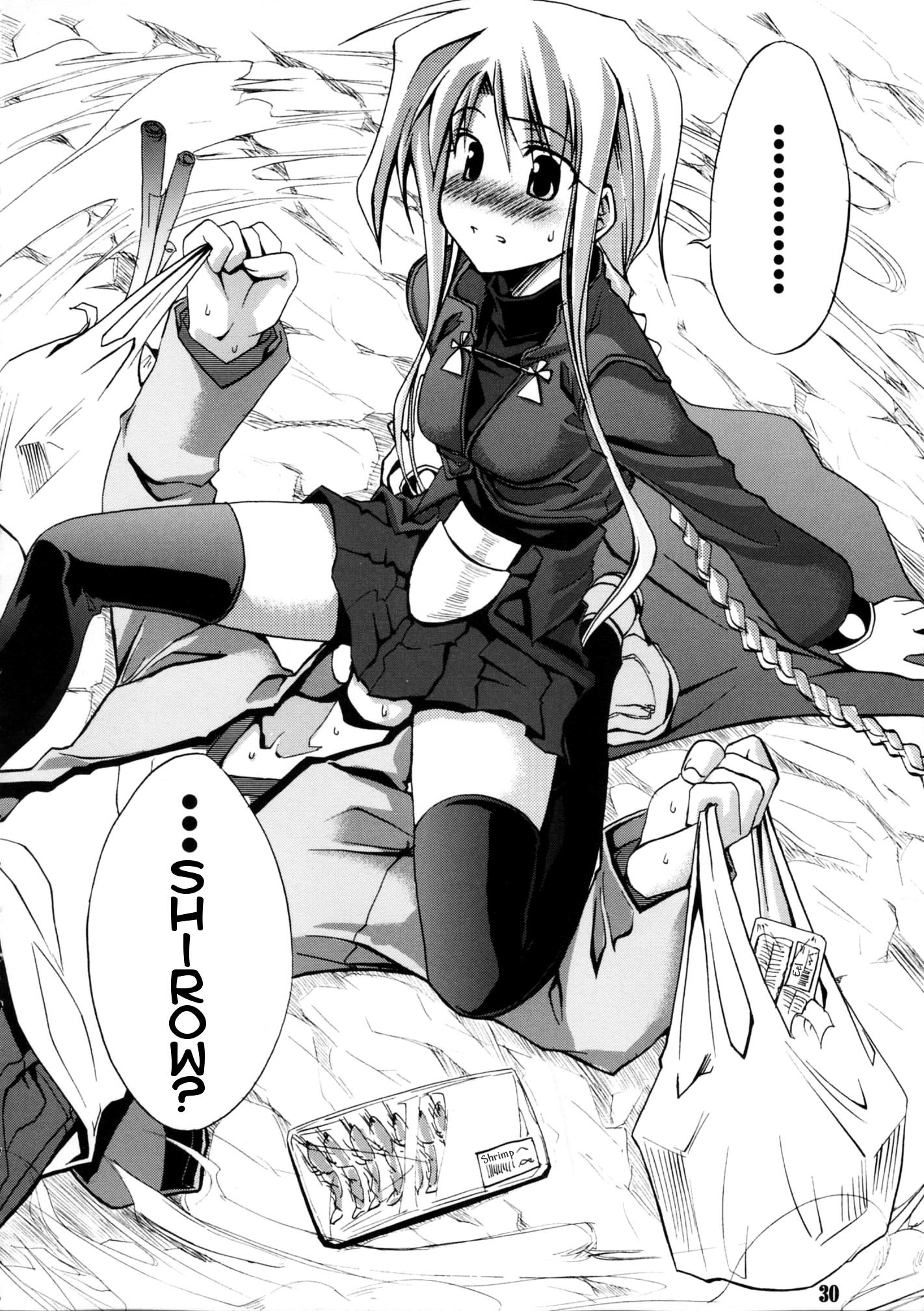 Fate/stay night - SWORD DANCERS (Doujinshi) Sword Dancers 第29页