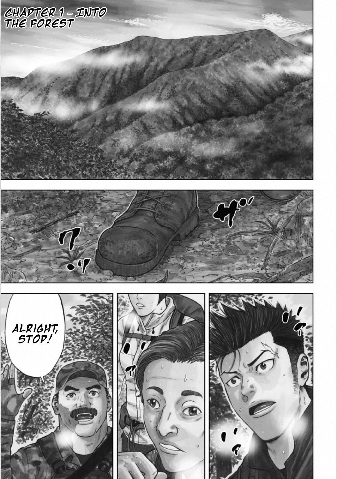Monkey Peak the Rock 第8页