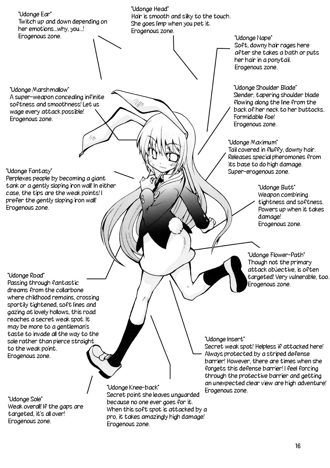 Touhou - Targeting the Rabbit (Doujinshi) Oneshot 第17页