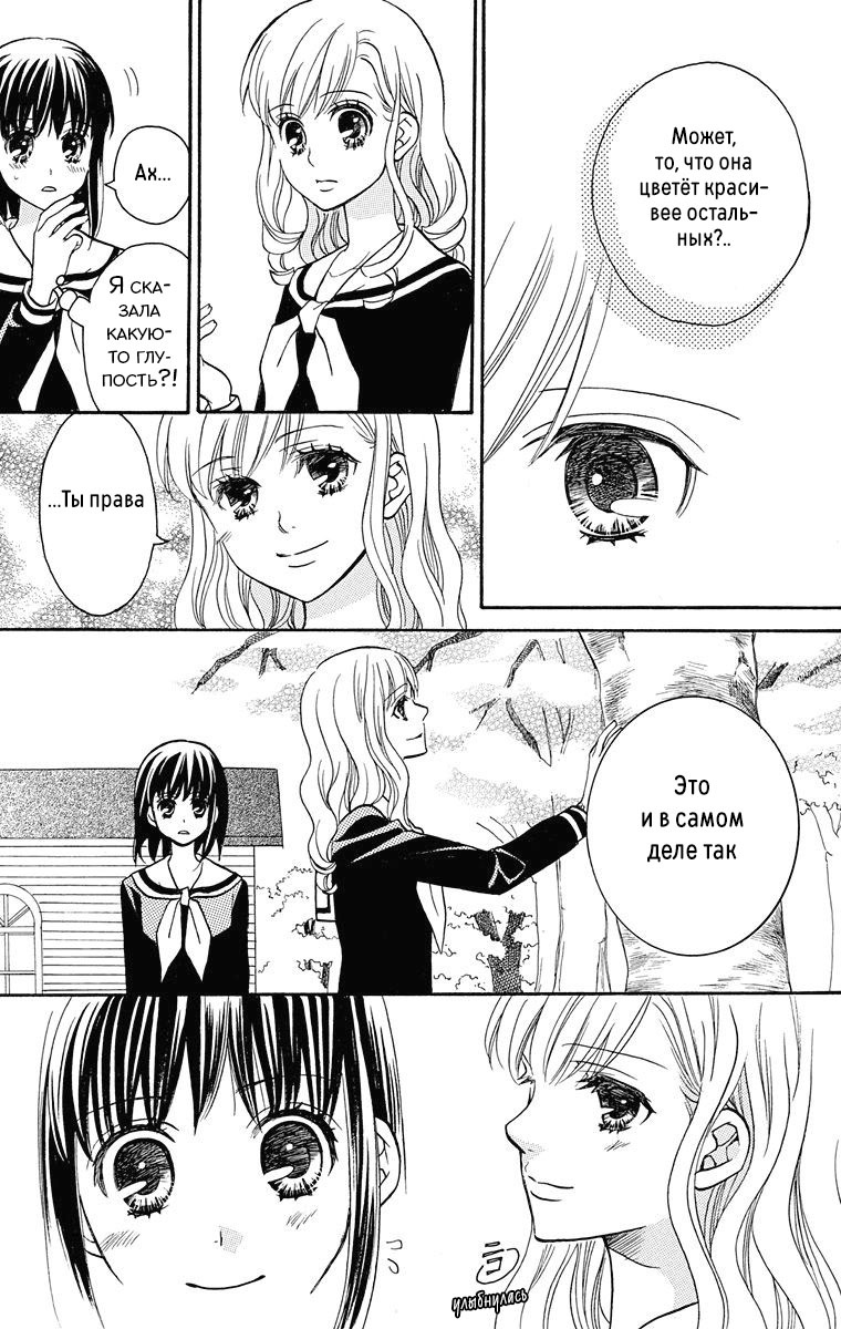 Maria-sama ga Miteru Сакура среди гинкго (часть 1) 第15页