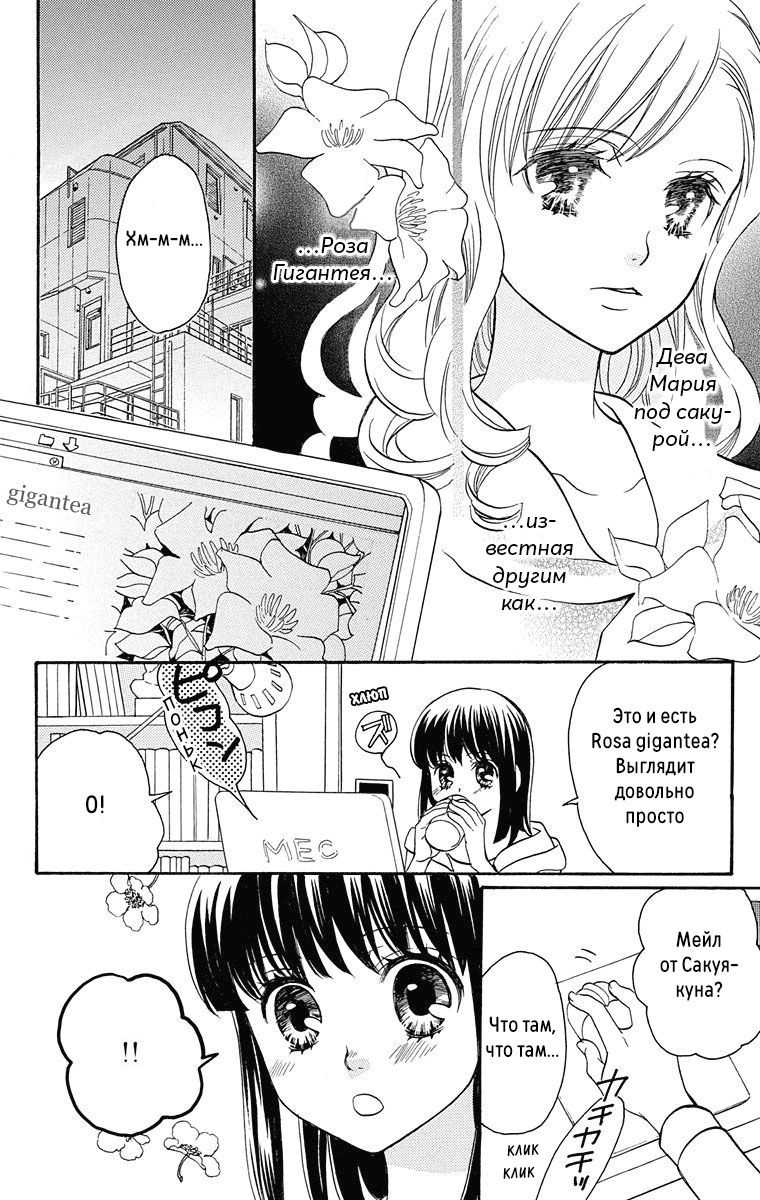 Maria-sama ga Miteru Сакура среди гинкго (часть 1) 第22页