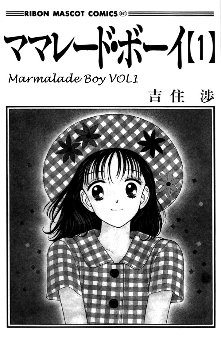 Marmalade Boy 第2页