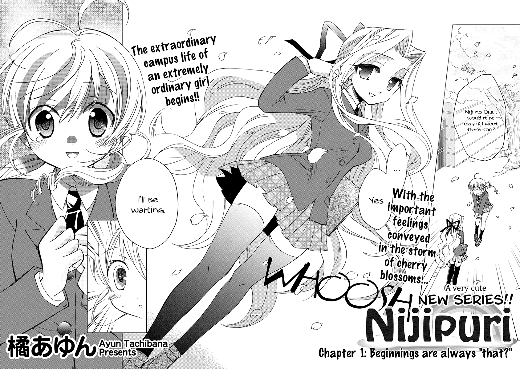 Nijipuri 第3页