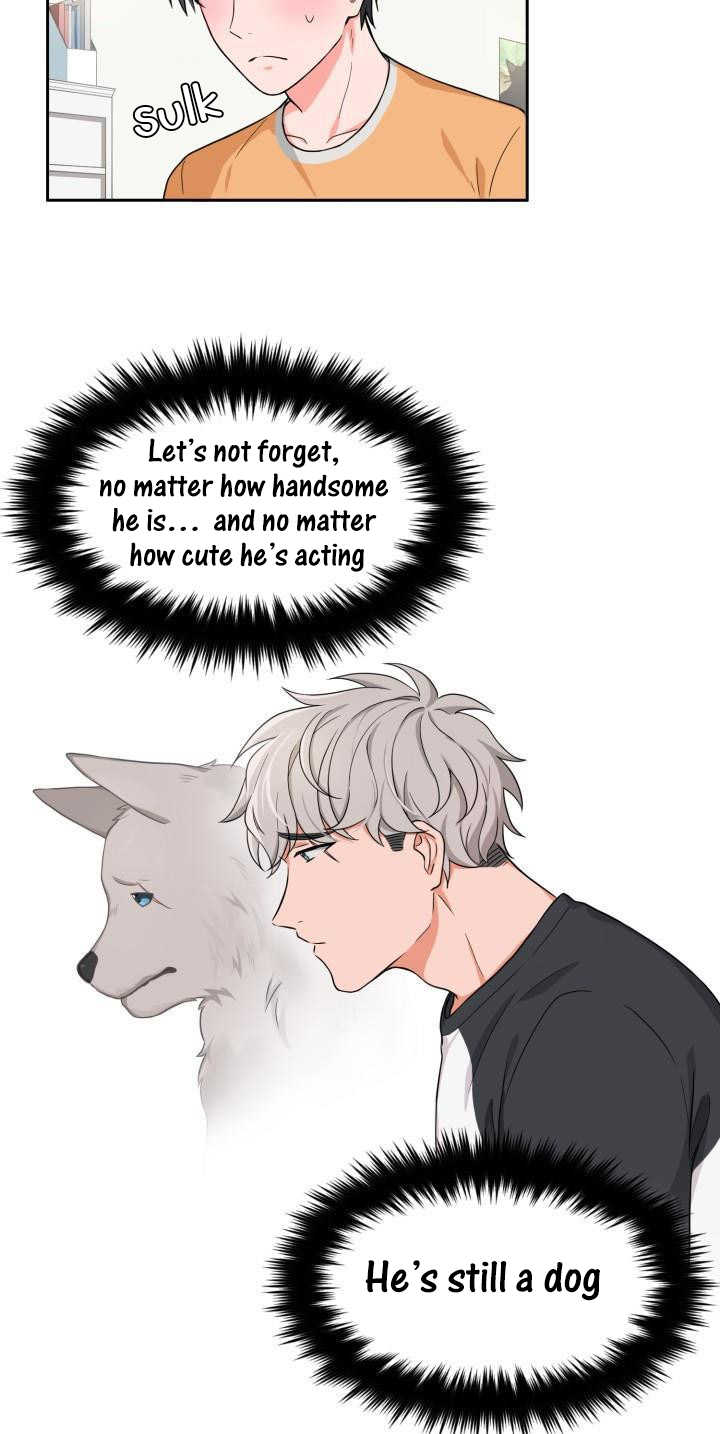 Sit, Wait, Kiss Me Ch. 3 第20页
