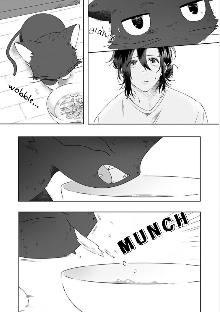 Neko ni wa Neko no Neko Gohan Vol. 1 Ch. 2 第11页