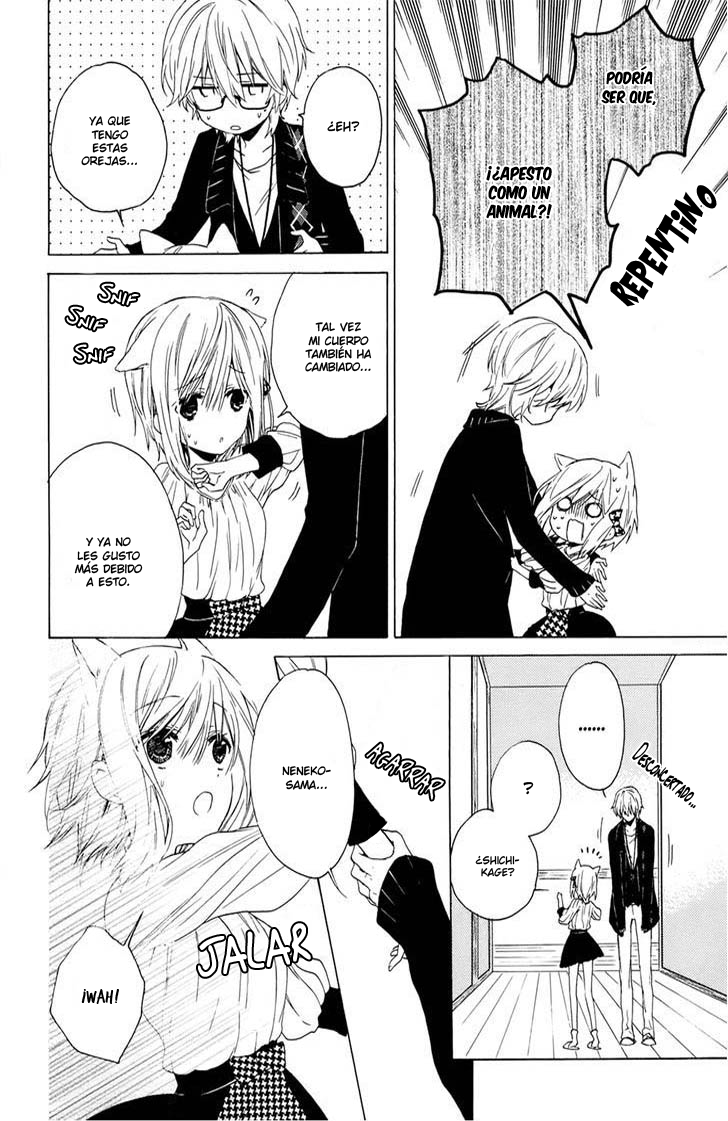 Kudamimi no Neko He hecho un Amigo 第19页