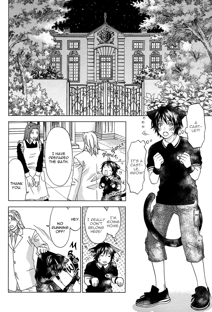 Mori no Animal Company Vol. 1 Ch. 4 第17页