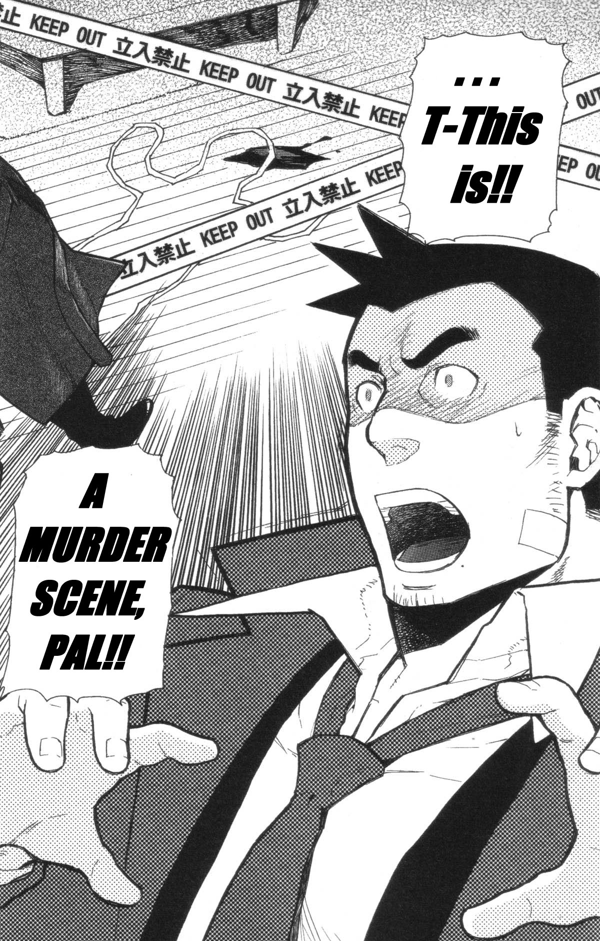 Gyakuten Saiban - Turnabout Crossover Oneshot 第33页