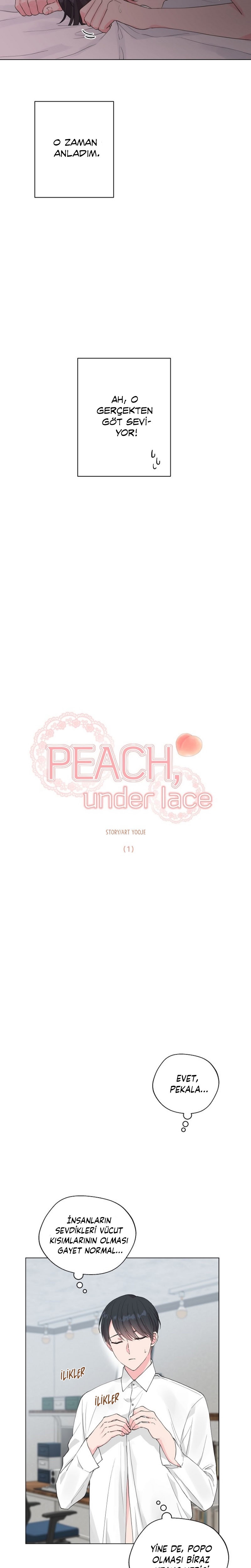 Secret Fetish Anthology Peach Under Lace-1 第10页