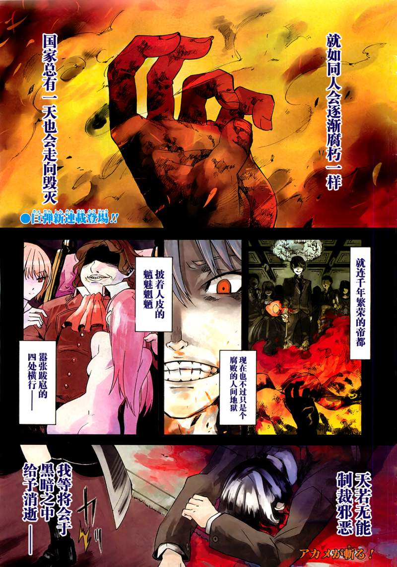 Akame ga KILL! Matar A La Oscuridad 第8页