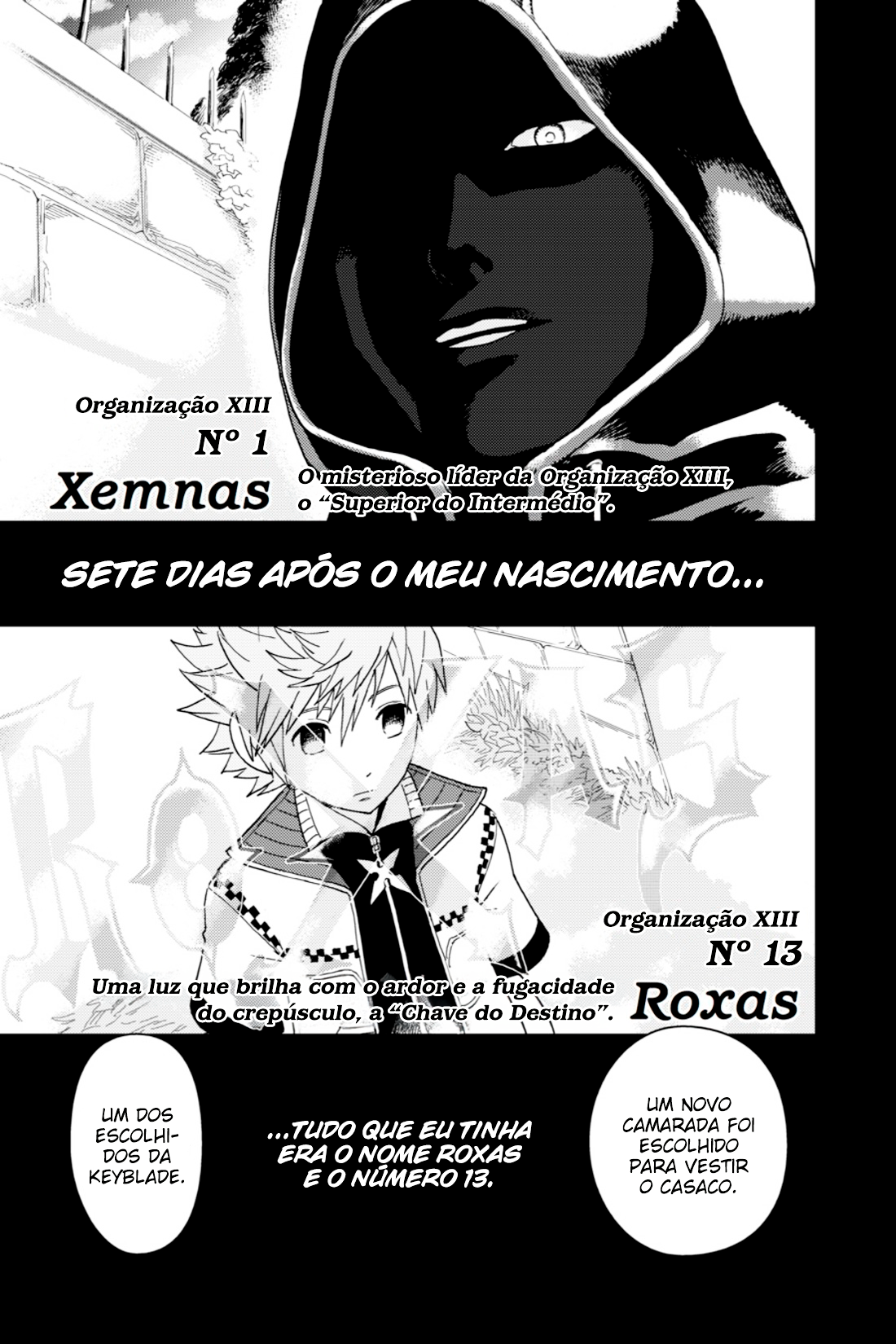 Kingdom Hearts 358/2 Days 第6页
