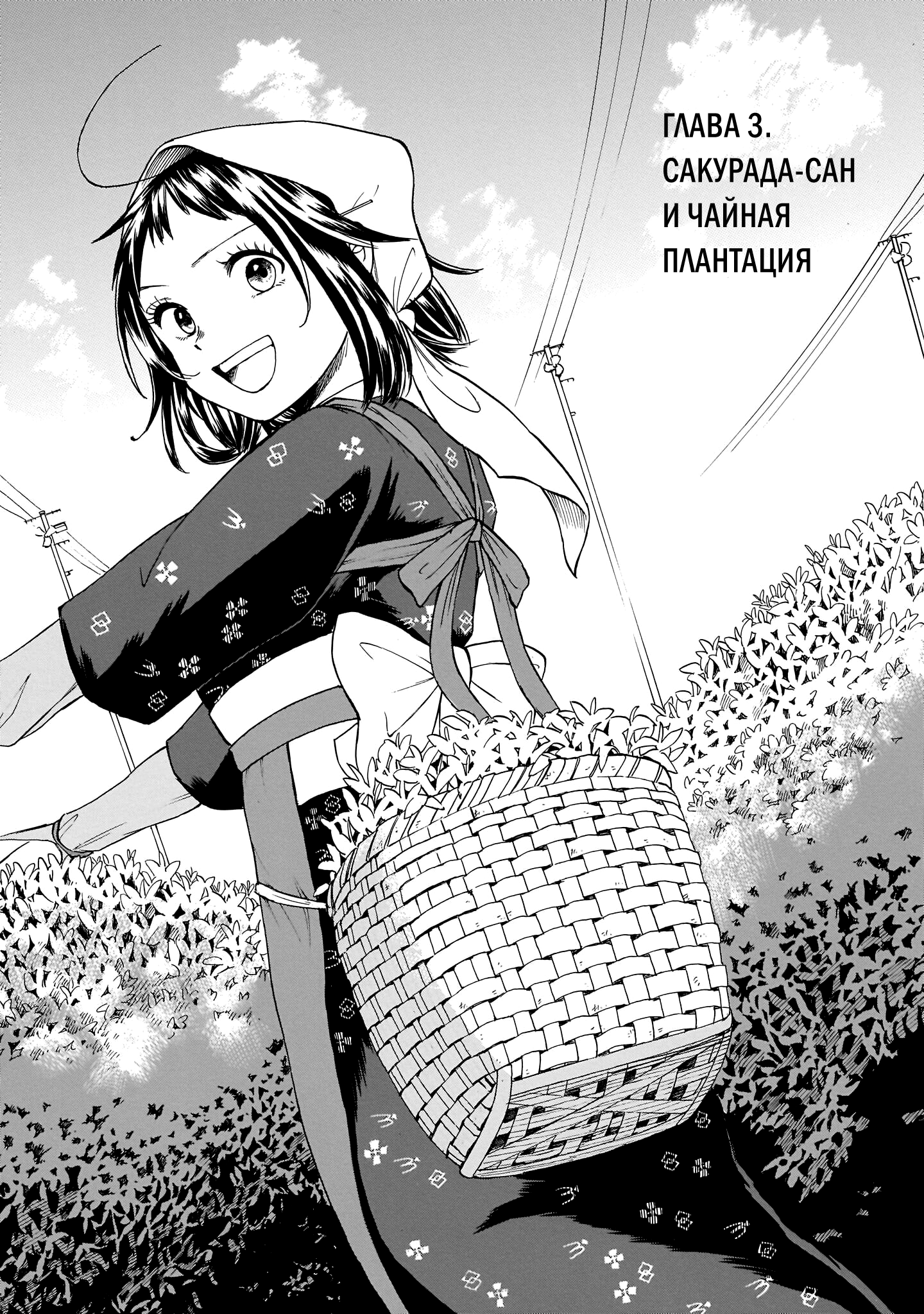 Shutter-gai no Sakura Hime Сакурада-сан и чайная плантация 第1页