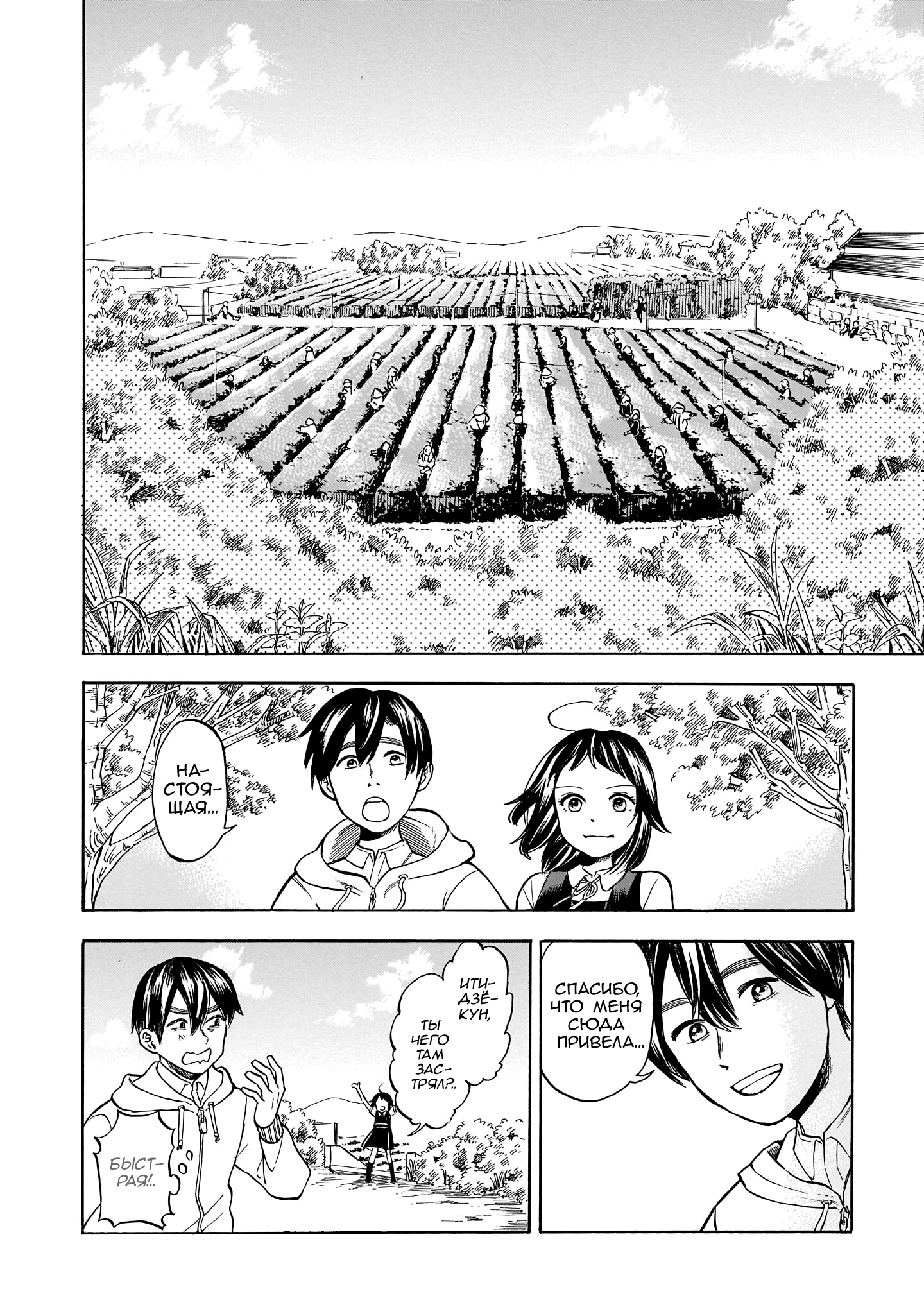 Shutter-gai no Sakura Hime Сакурада-сан и чайная плантация 第8页