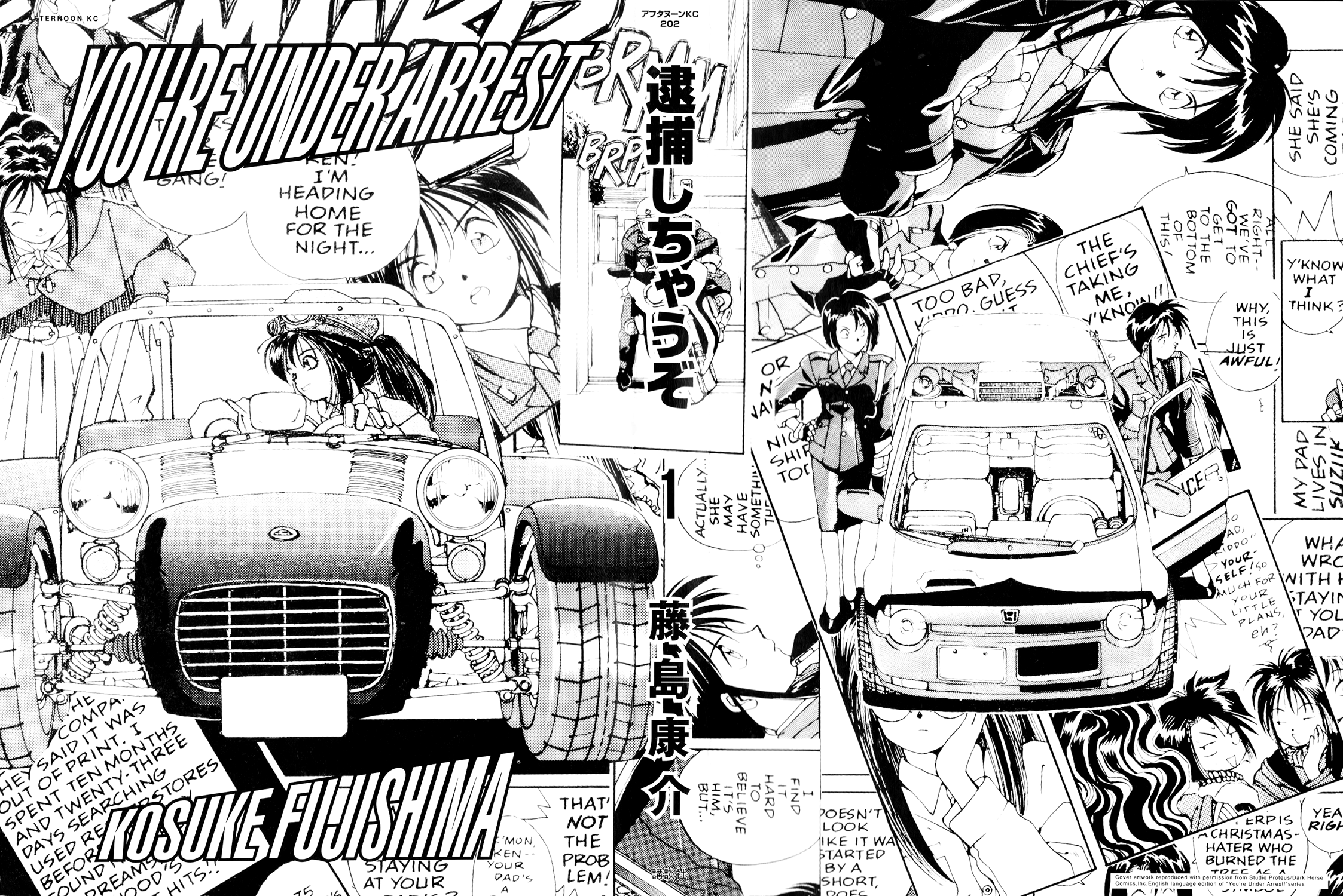 You're Under Arrest! 第2页