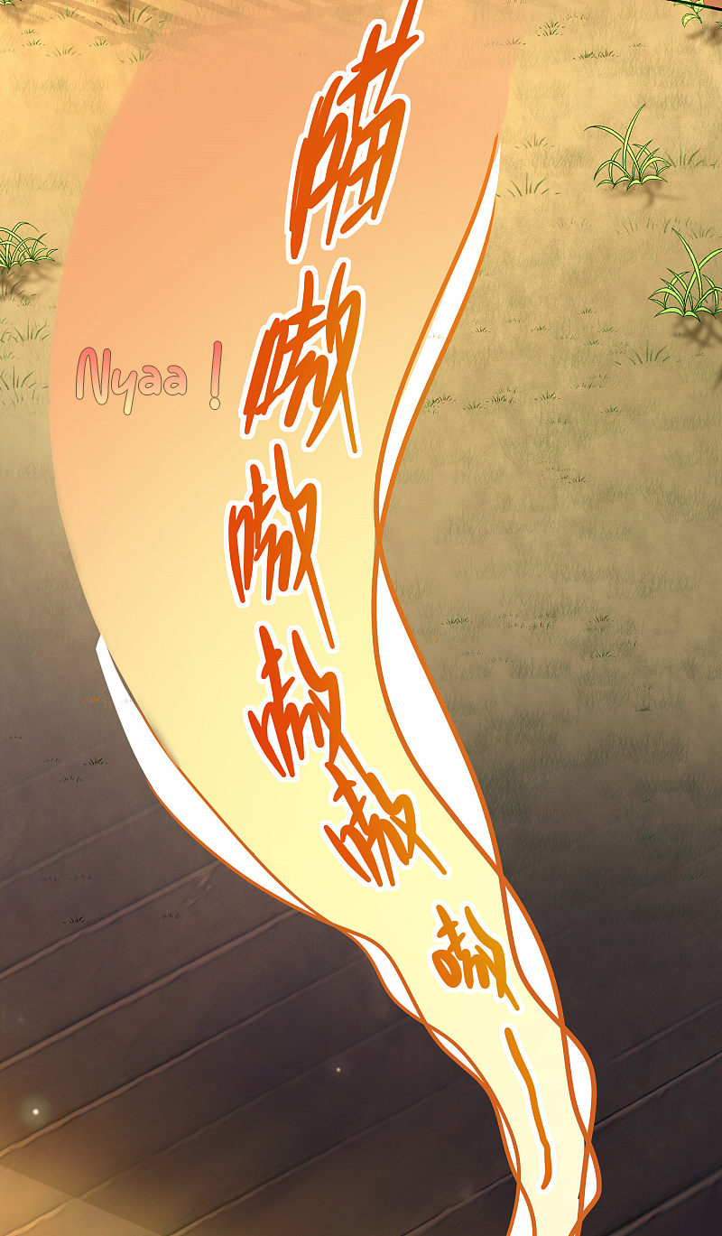 Cat System: The Emperor Is a Cat Lover Ch. 2 第19页