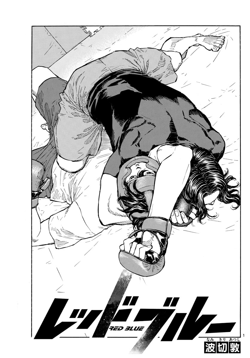 Red Blue Para O Mundo Das Artes Marciais 第2页