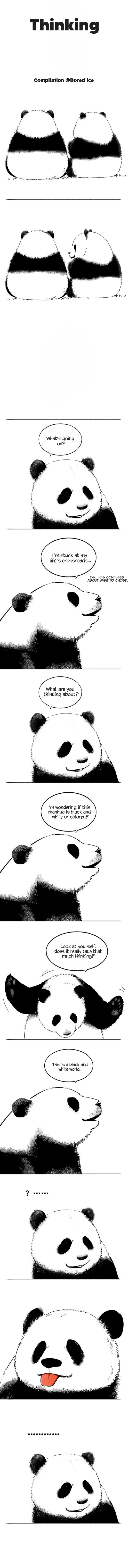 Quickly Put the Animal Inside the Fridge 第5页