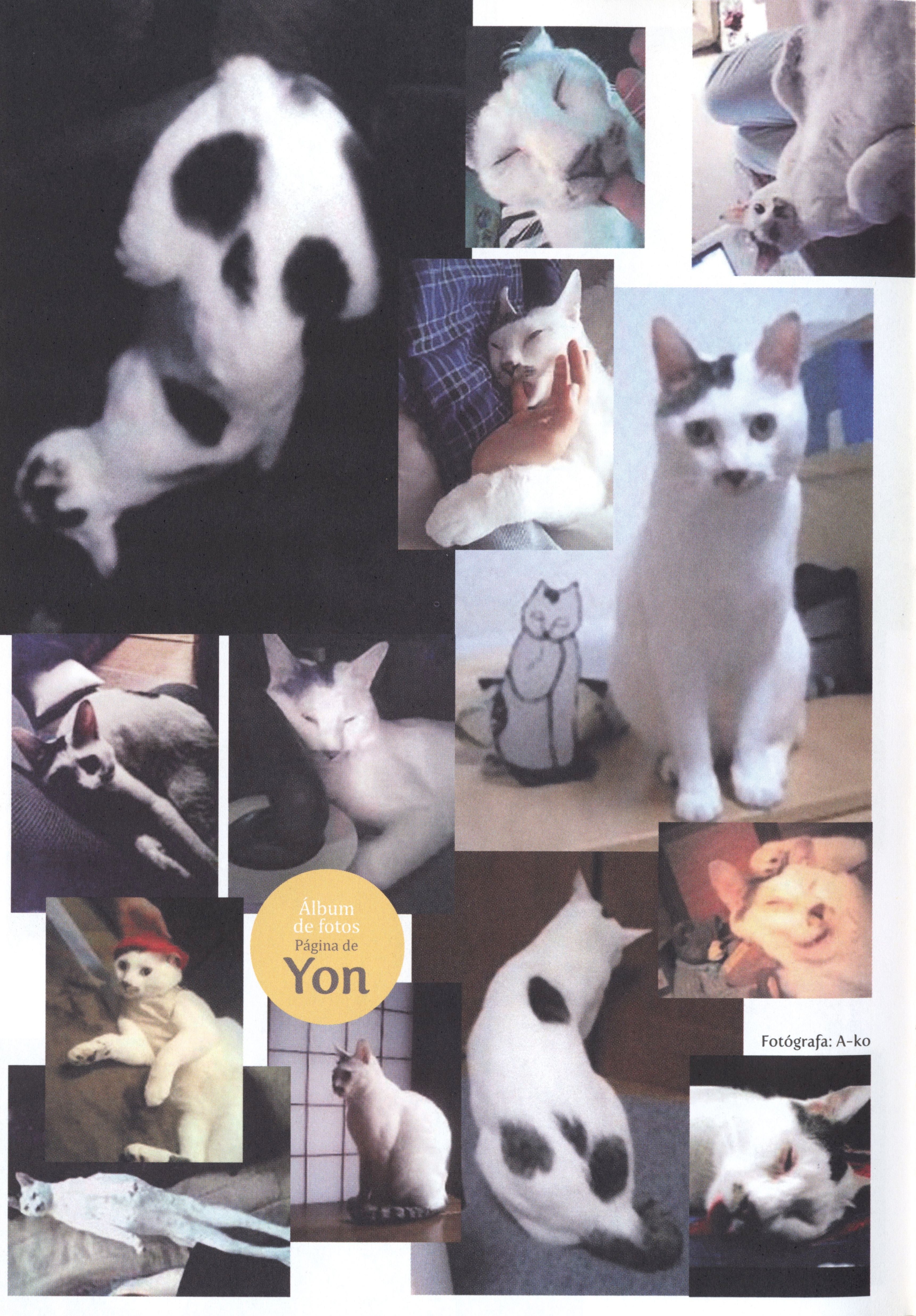 Junji Ito's Cat Diary: Yon & Mu 第6页