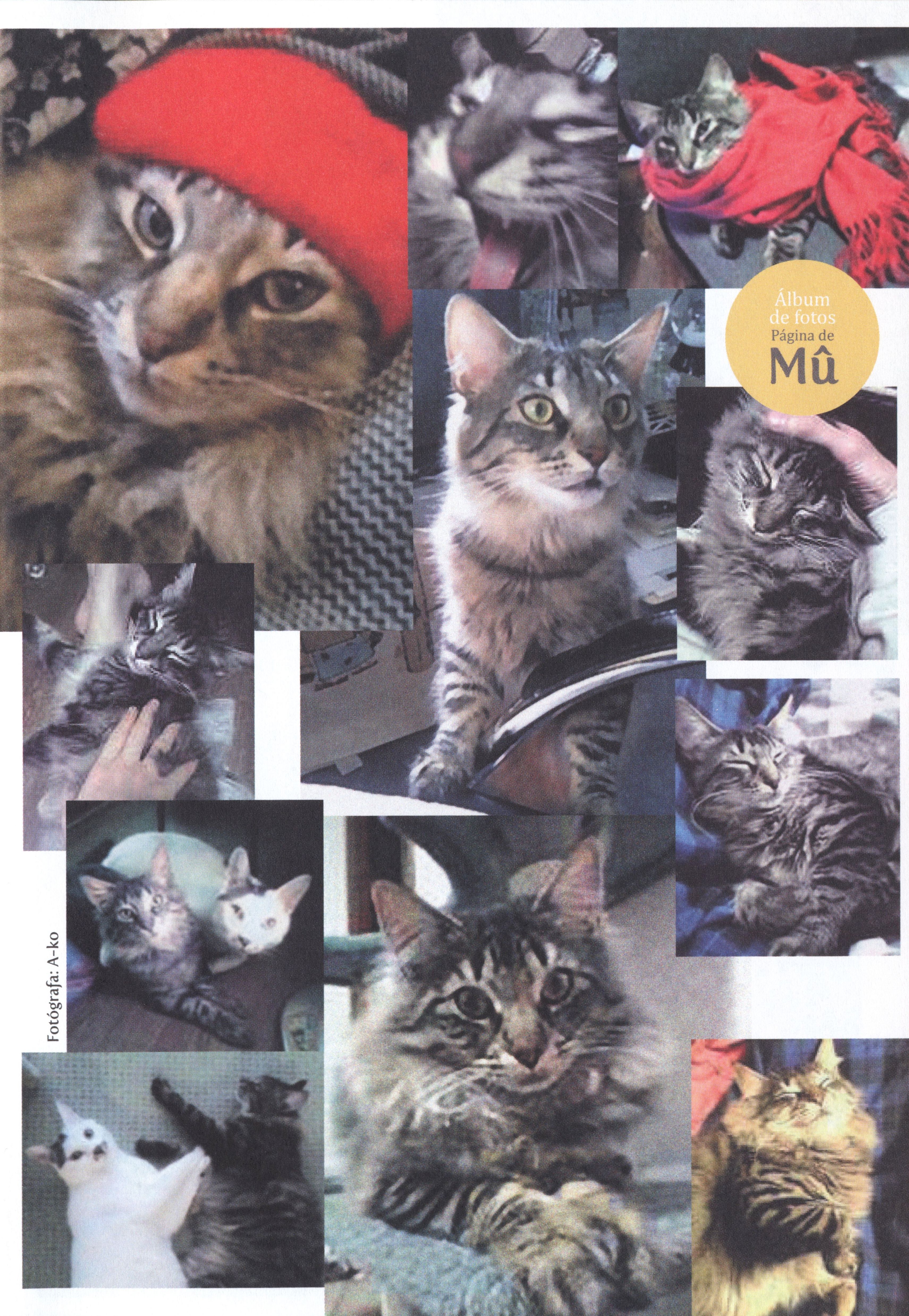 Junji Ito's Cat Diary: Yon & Mu 第7页