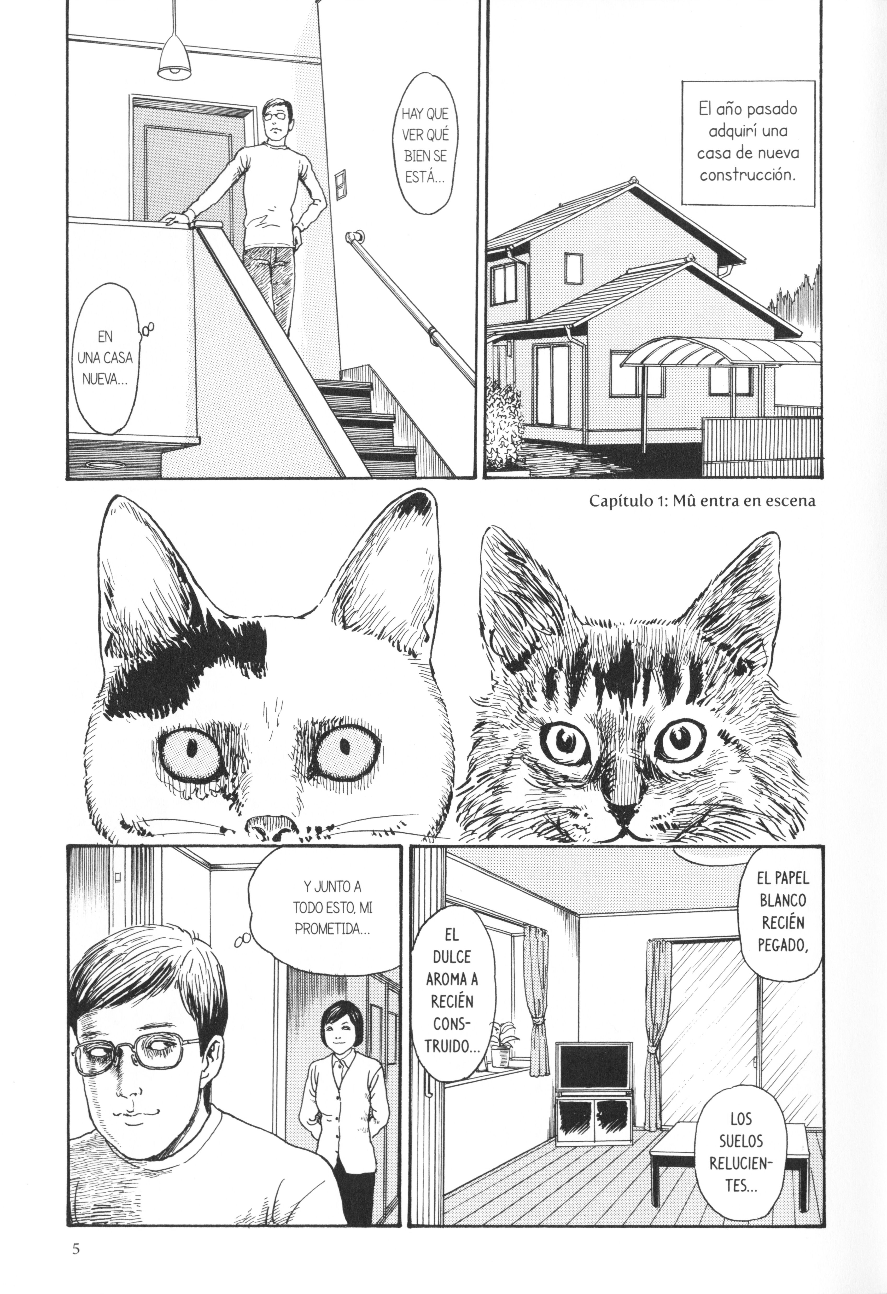 Junji Ito's Cat Diary: Yon & Mu 第8页