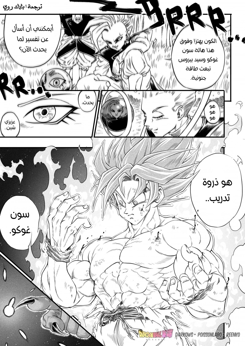 Dragon Ball Kakumei (Doujinshi) تدريب سون غوكو الأخير 第17页