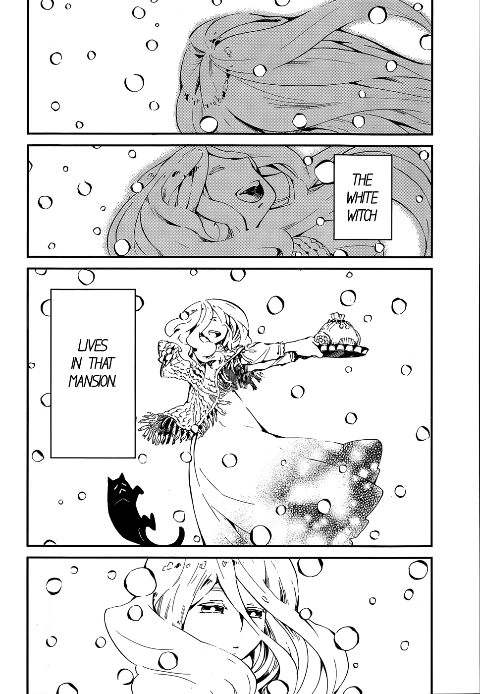 The White Witch and the Snow-Viewing Tea Party Oneshot 第3页