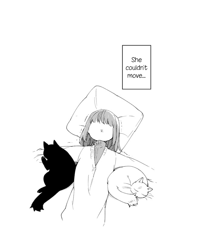 Nora-san the Tsungire Cat Ch. 4.1 第2页
