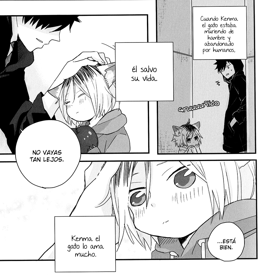 Haikyu!! - Neko to Ringo (Doujinshi) Oneshot 第12页
