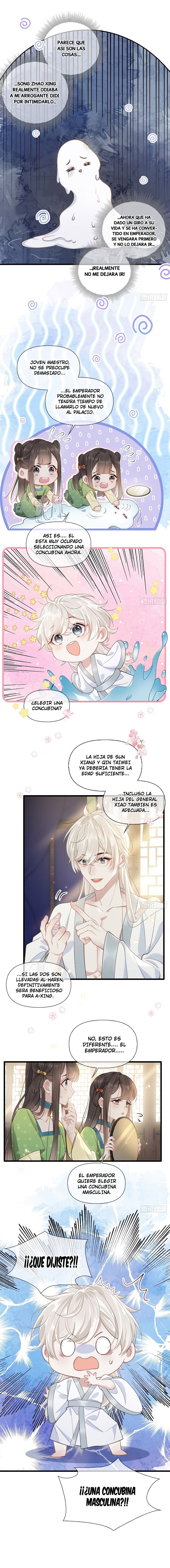 Irreverent Desires El Emperador quiere elegir un Concubino Masculino 第18页