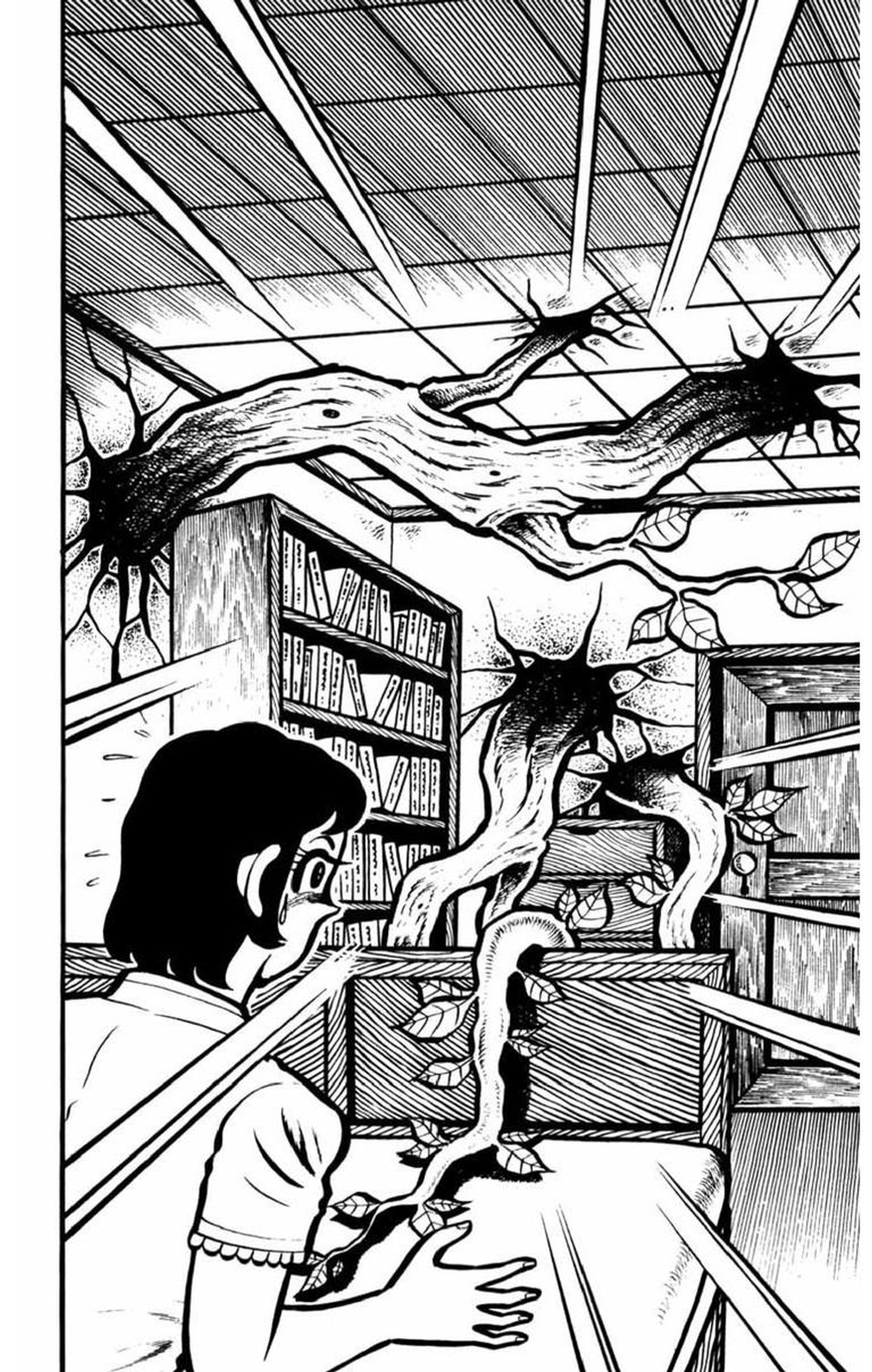 Gogora Dodora - 4th Dimension Mystery Vol. 1 Ch. 2 第3页