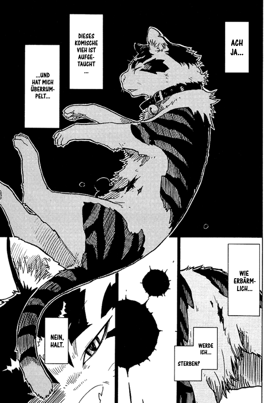 Gakuen Sousei Nekoten! Worin du gut bist 第14页