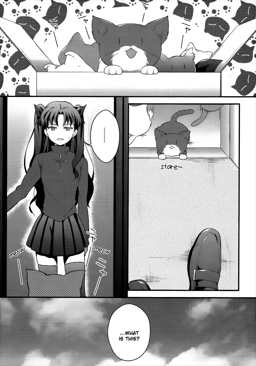 Fate/stay night -  Nekoneko Borderline (Doujinshi) 第3页