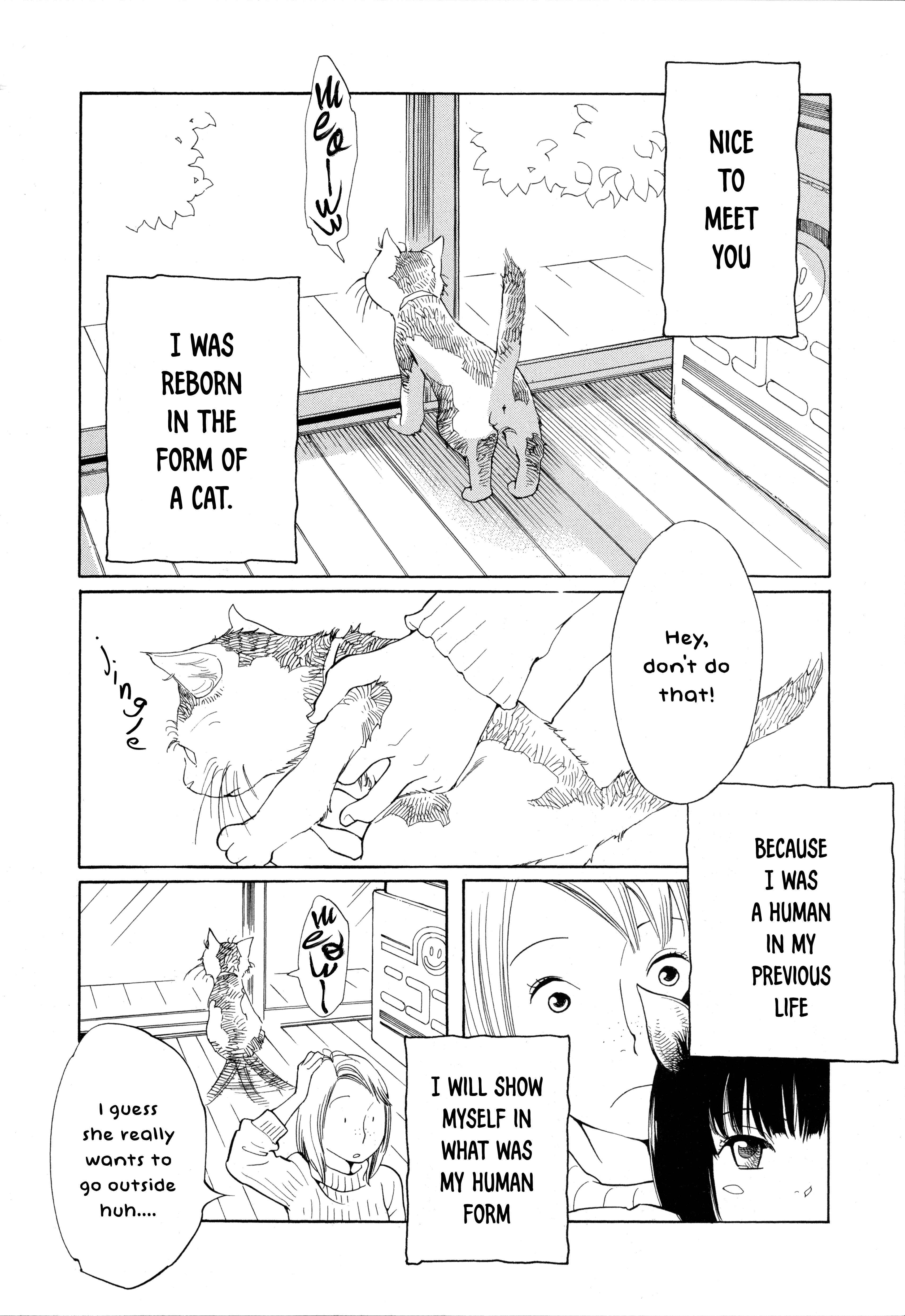 Cat Days 第2页