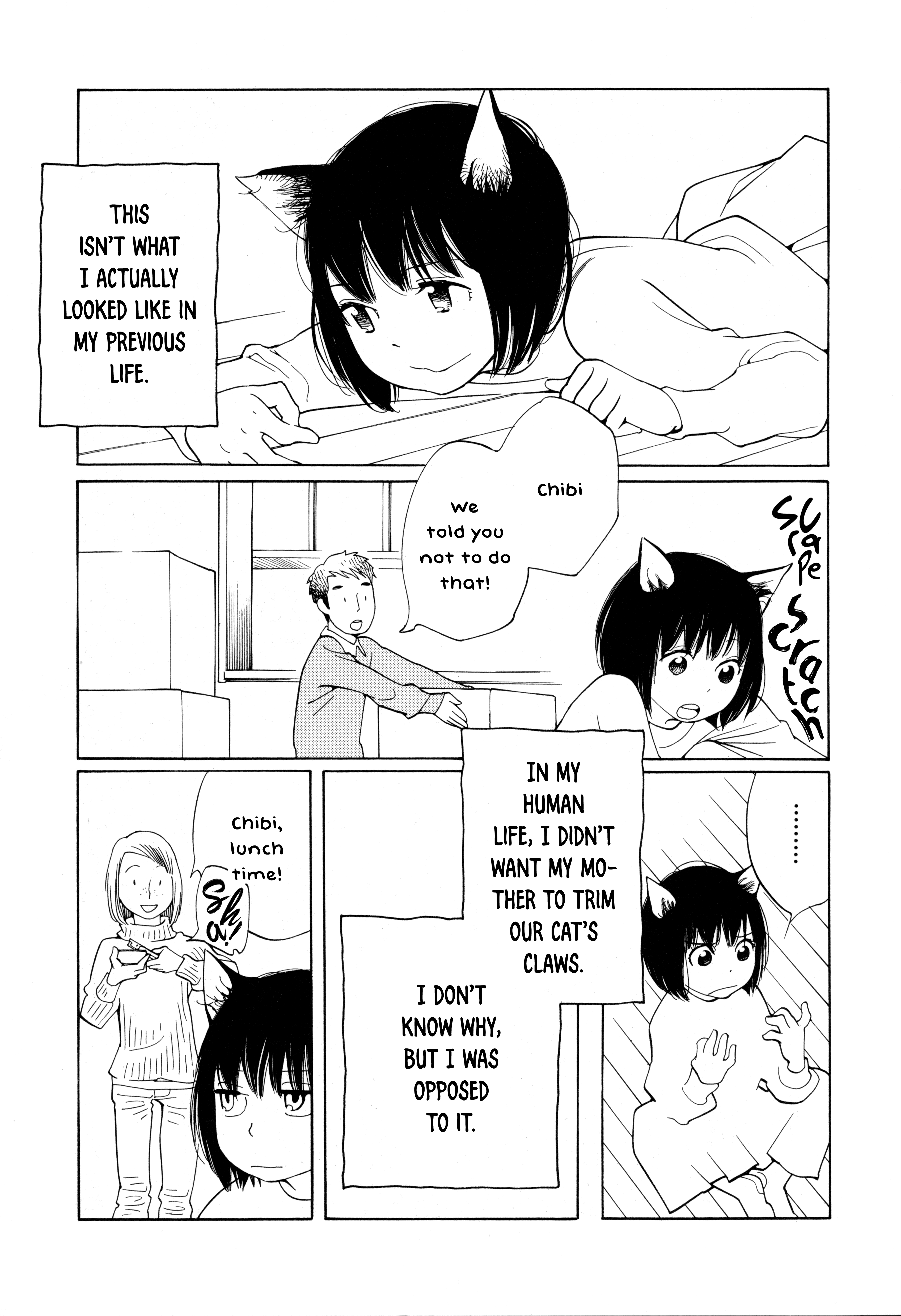 Cat Days 第5页