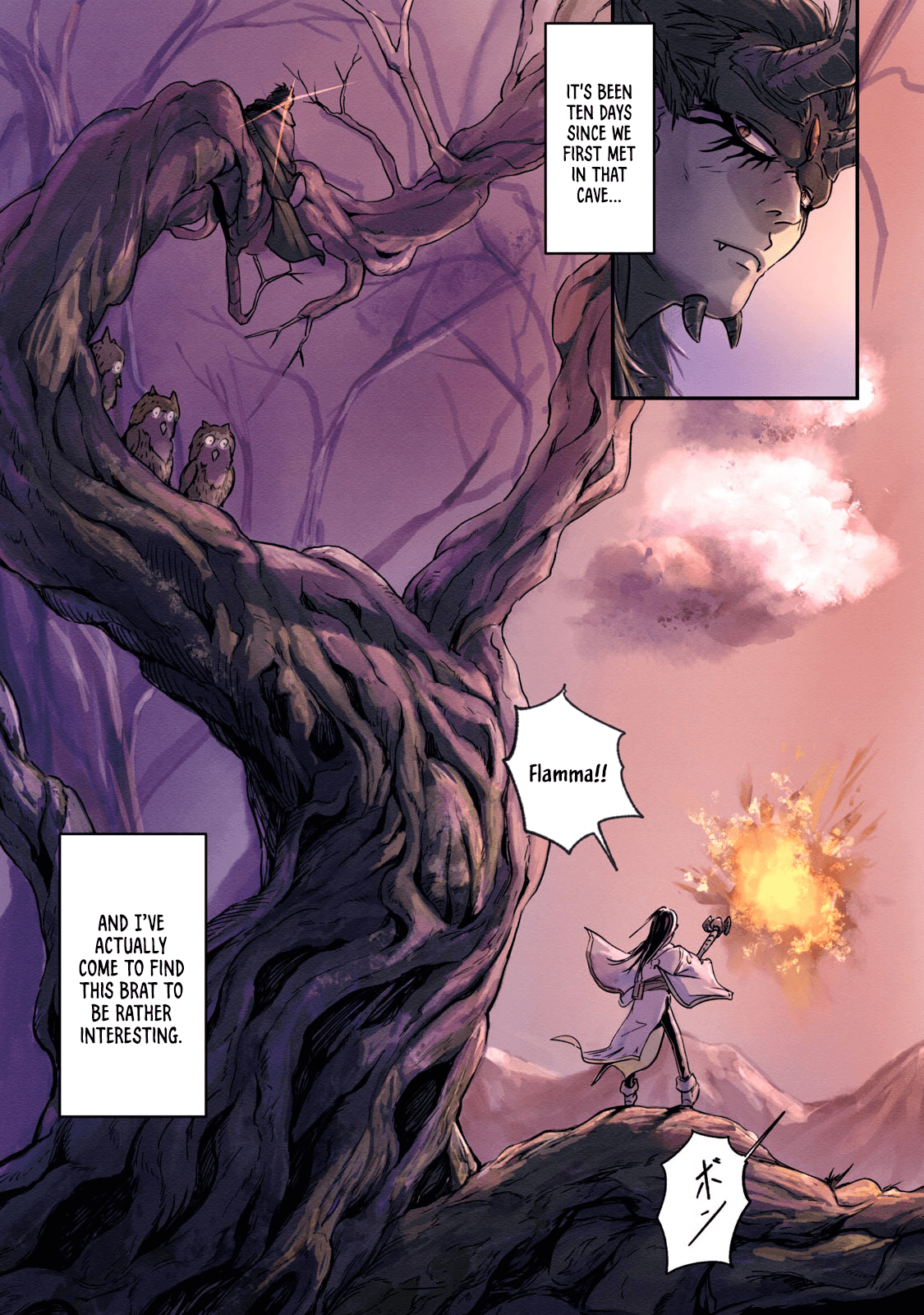 Ilvizora no Touhikou Resurrection 第11页
