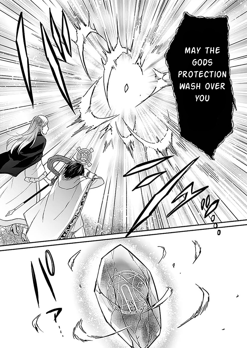 Shiro no Necromancer ~Shiryou Ou e no Michi~ Counter Attack 第25页