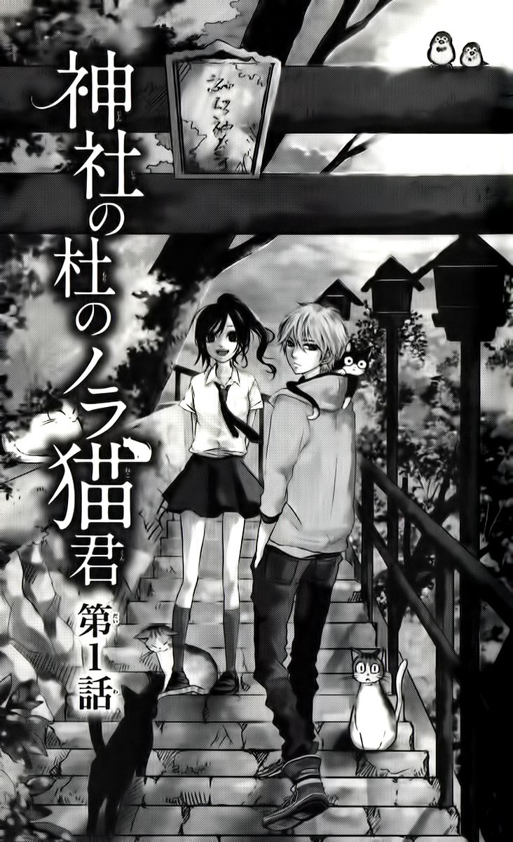 Jinja no Mori no Nora Neko-kun 第7页