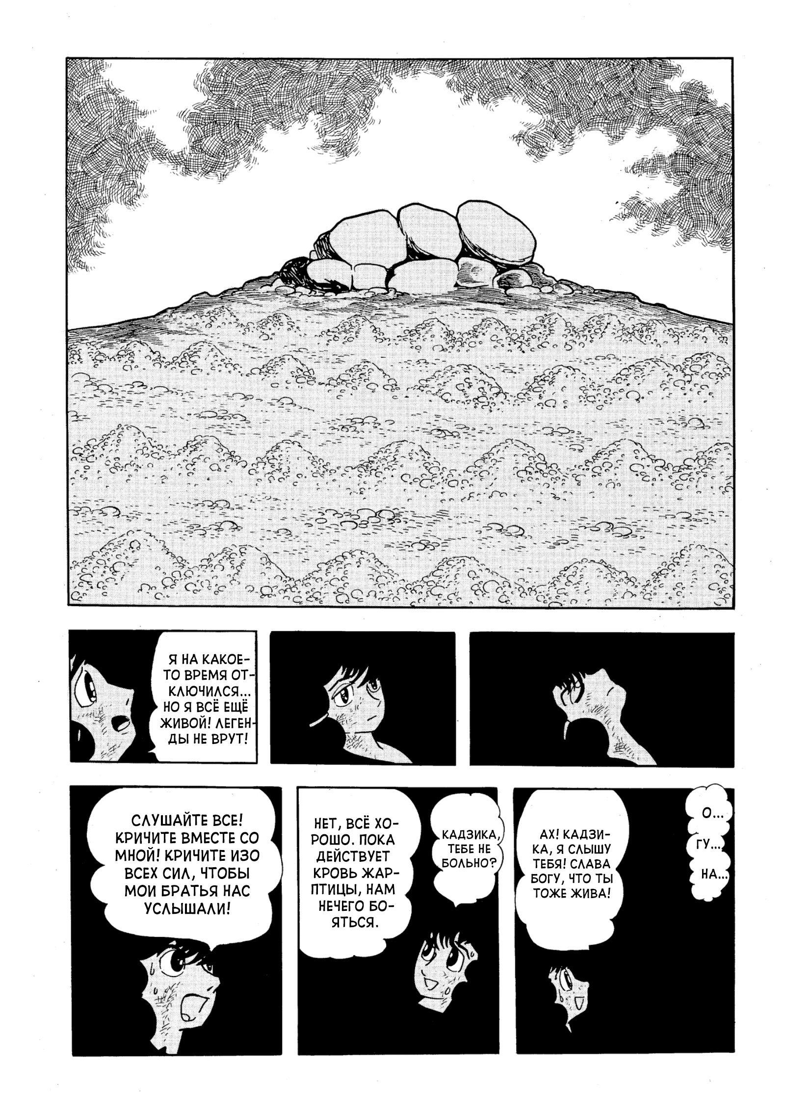 Phoenix Ямато 第162页