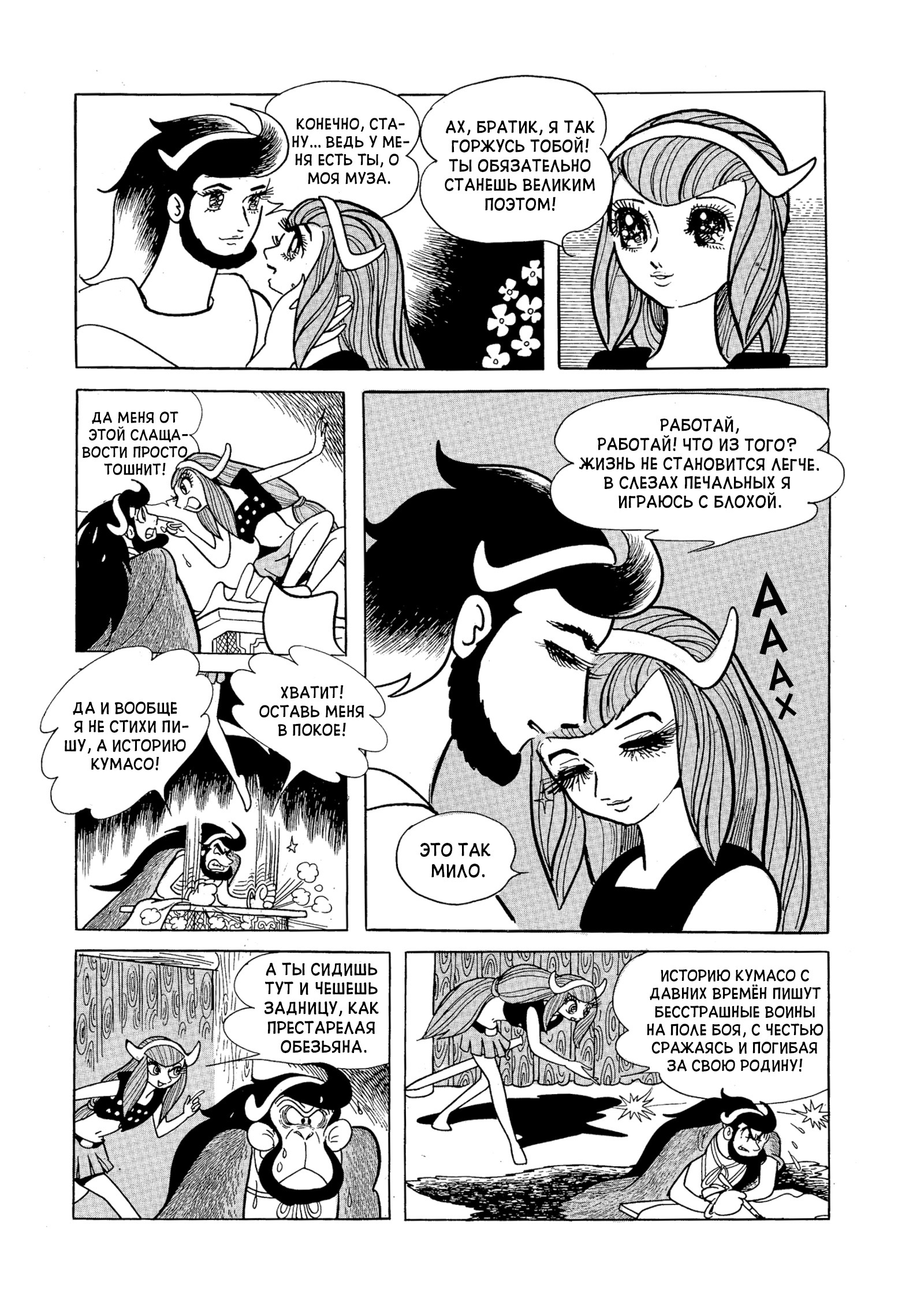 Phoenix Ямато 第24页