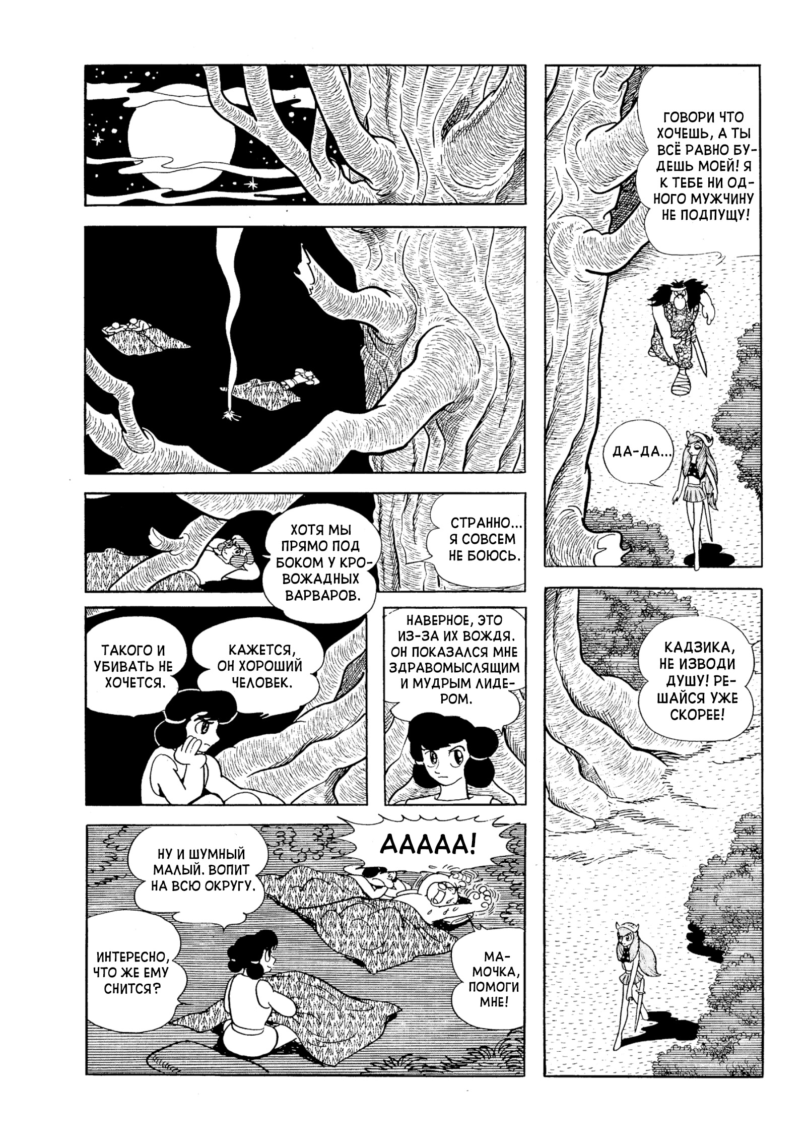 Phoenix Ямато 第49页
