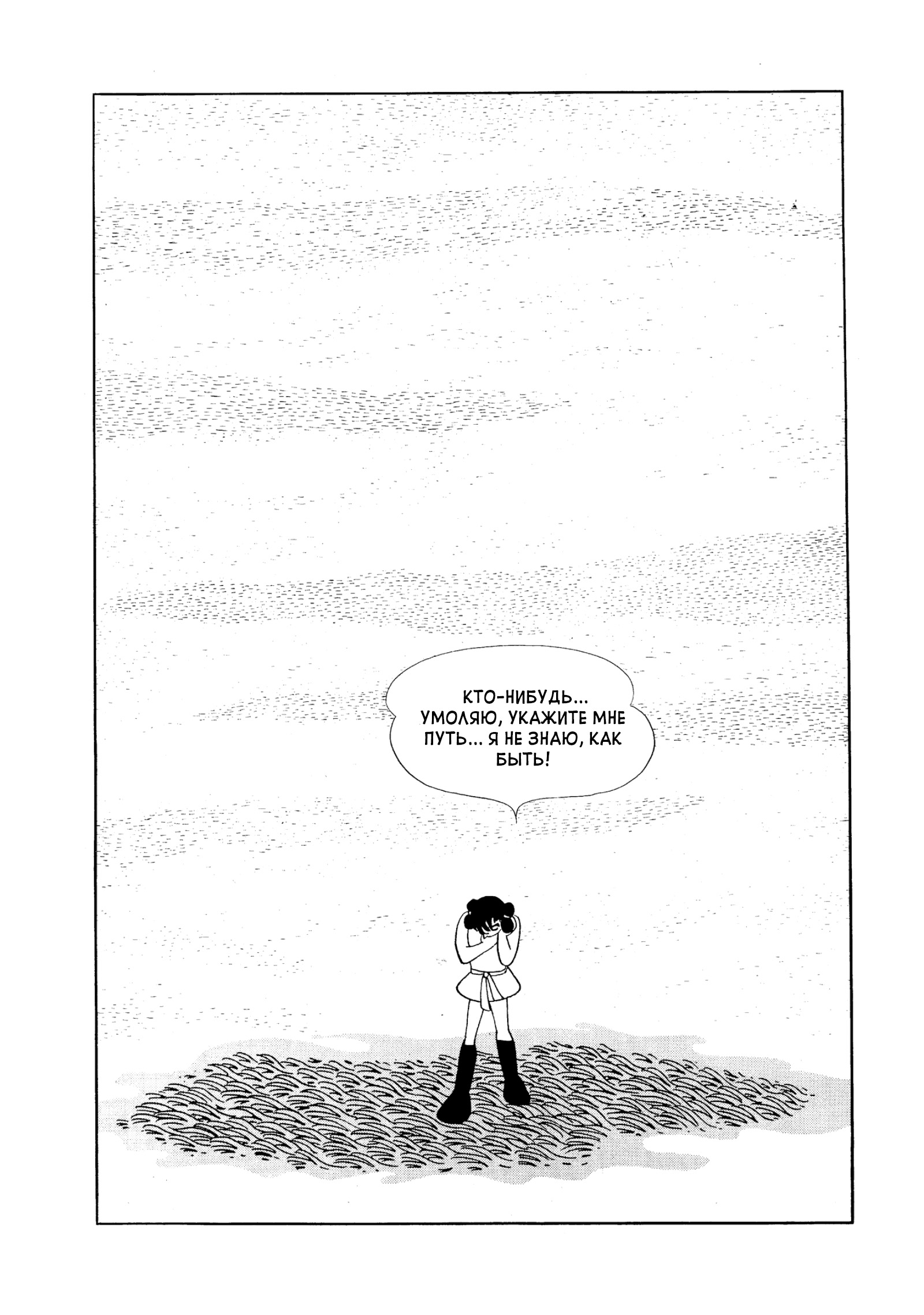 Phoenix Ямато 第83页