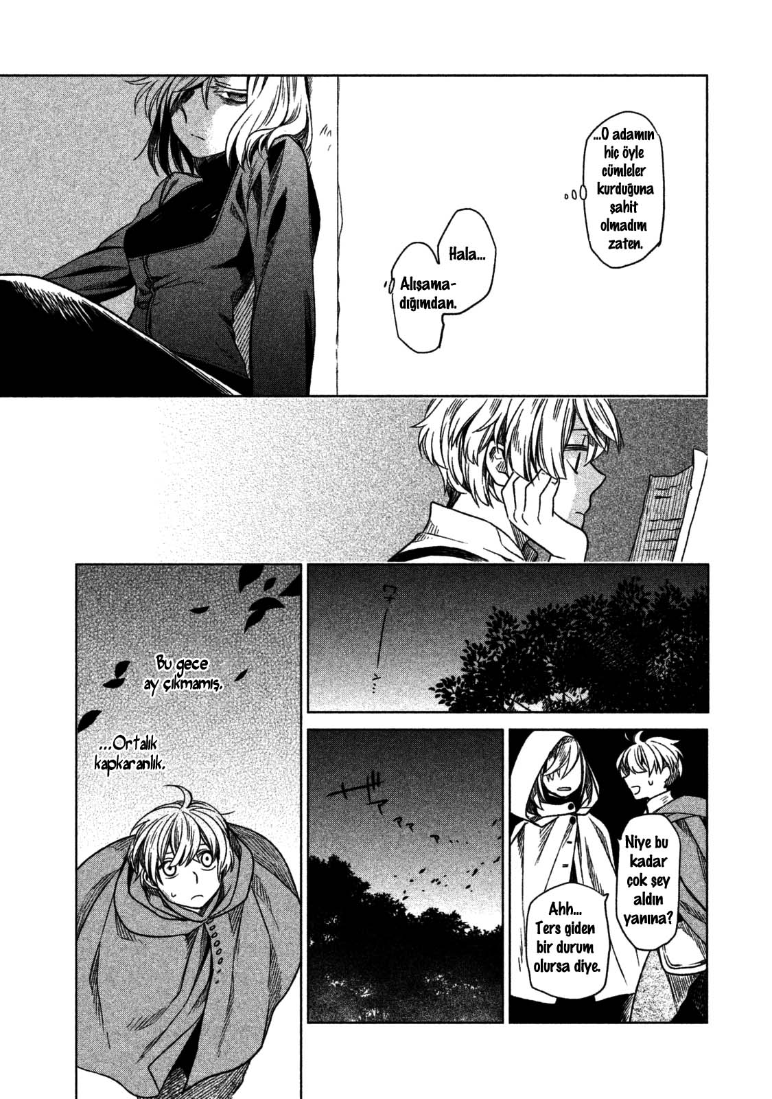 Frau Faust Masallardaki Adam 第29页
