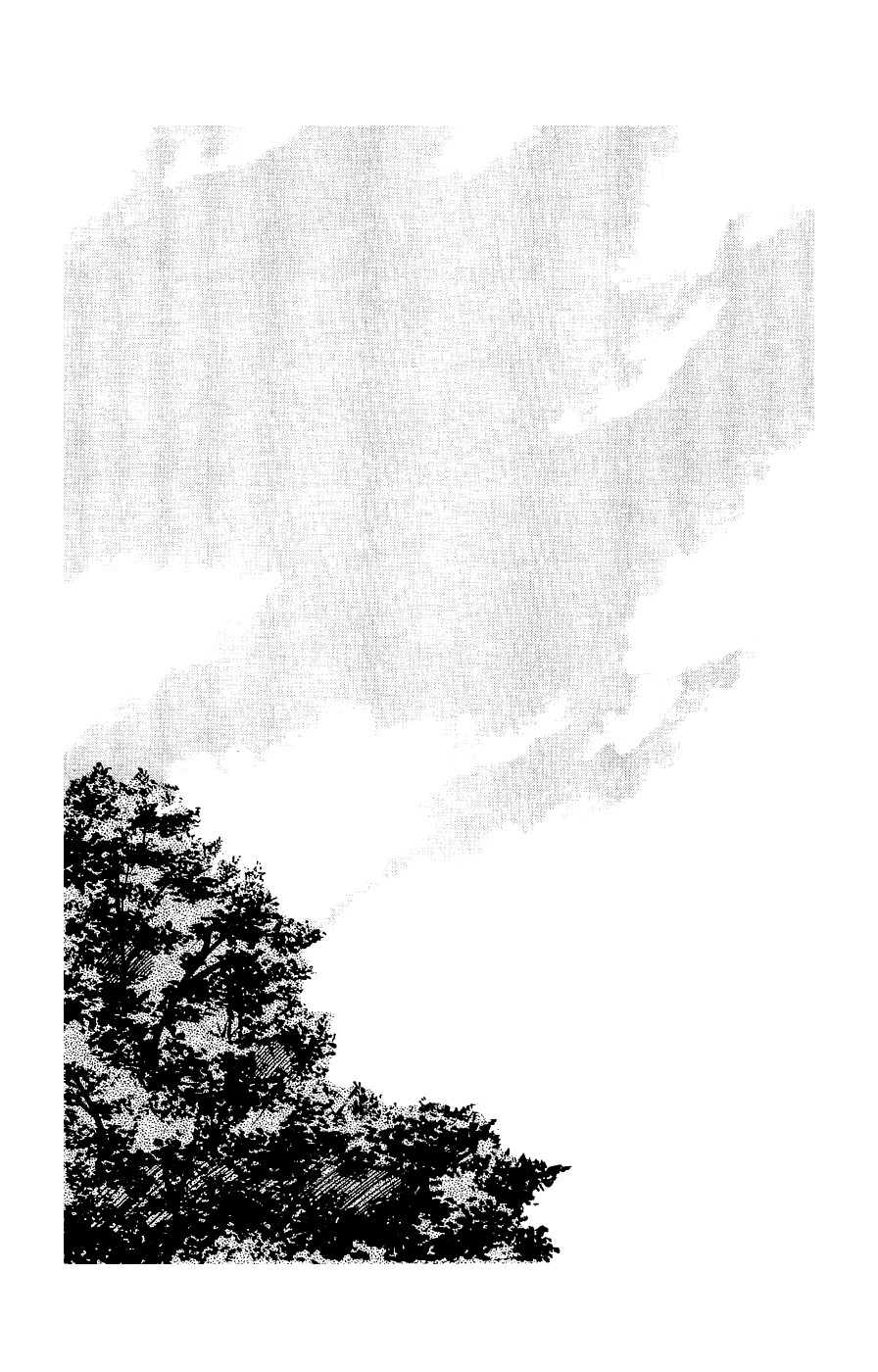 Crows Gaiden Vol. 1 Ch. 3 第4页