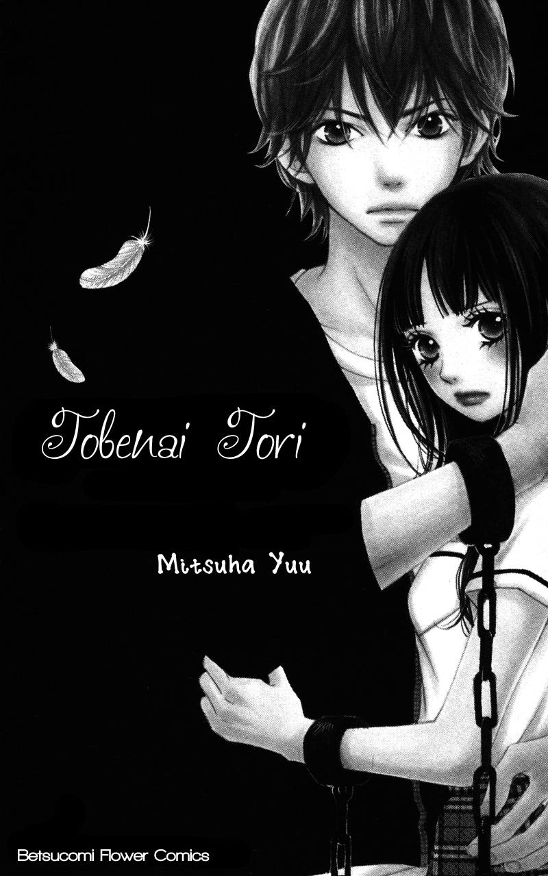 Tobenai Tori 第5页